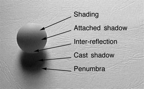 cast shadow definition in art: Exploring the Nuances and Creative Potential of Shadows in Visual Compositions