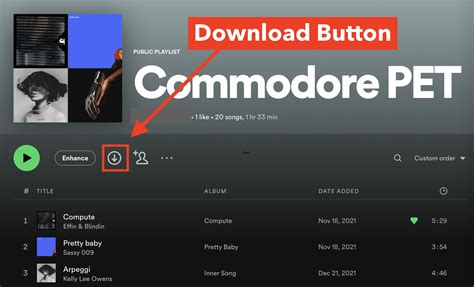 how to download spotify music to computer and explore the history of streaming services